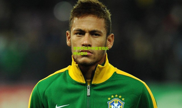 世界杯揭开中国雪橇队神秘面纱