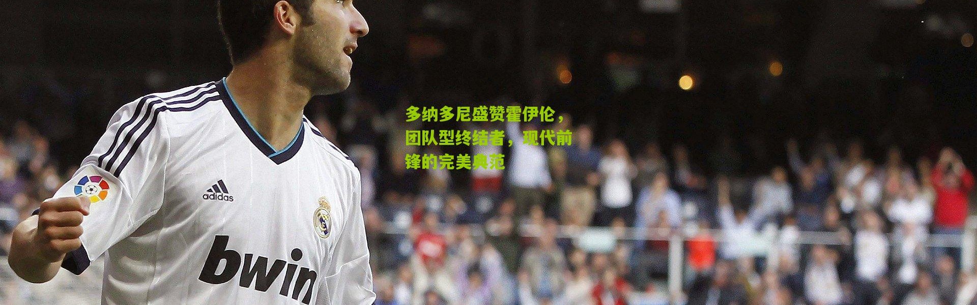 多纳多尼盛赞霍伊伦，团队型终结者，现代前锋的完美典范