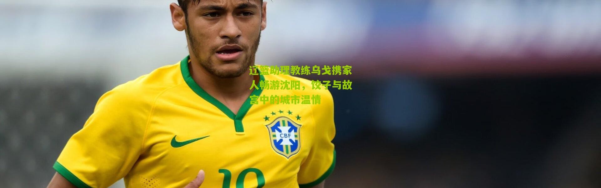 辽篮助理教练乌戈携家人畅游沈阳，饺子与故宫中的城市温情