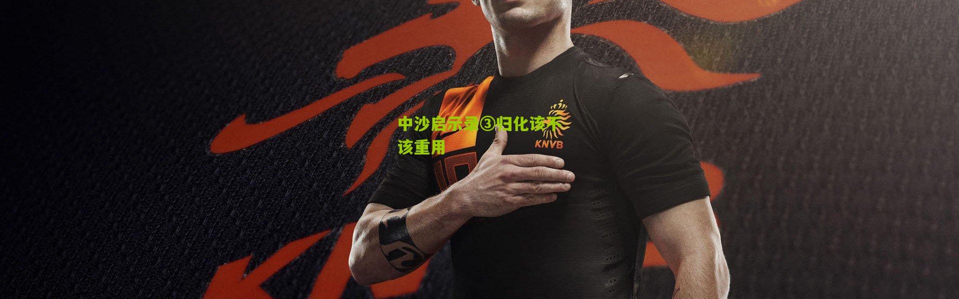 中沙启示录③归化该不该重用