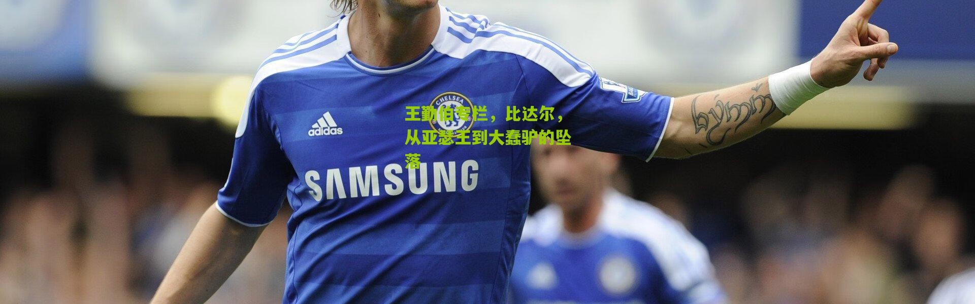 王勤伯专栏，比达尔，从亚瑟王到大蠢驴的坠落