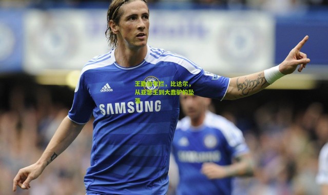 王勤伯专栏，比达尔，从亚瑟王到大蠢驴的坠落